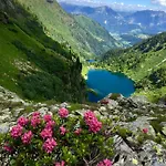 Boutique - Mit Bergblick Und Balkon - Inklusive Sommercard! Appartement *