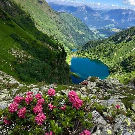 Boutique - Mit Bergblick Direkt An Der Loipe Appartement *