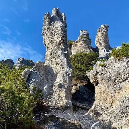 Apartment Boutique - Mit Bergblick Direkt An Der Loipe *
