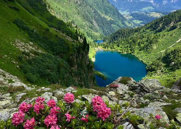 Boutique - Mit Bergblick Und Balkon - Inklusive Sommercard! Lejlighed *